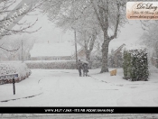 Snowing: Pictures Of Snowy Scenes In Beverley