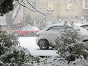 Snowing: Pictures Of Snowy Scenes In Beverley