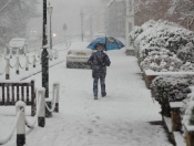 Snowing: Pictures Of Snowy Scenes In Beverley