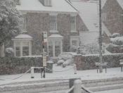 Snowing: Pictures Of Snowy Scenes In Beverley