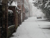 Snowing: Pictures Of Snowy Scenes In Beverley