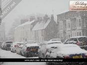 Snowing: Pictures Of Snowy Scenes In Beverley