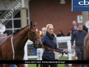 Beverley Races