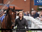 Beverley Races