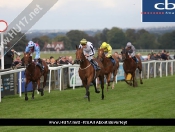 Beverley Races