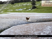 The Big Thaw Causes Flooding On The Beverley Westwood