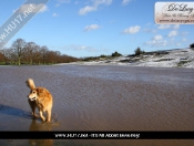 The Big Thaw Causes Flooding On The Beverley Westwood