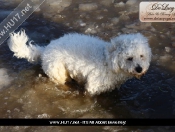 The Big Thaw Causes Flooding On The Beverley Westwood