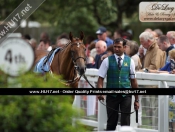 Beverley Races