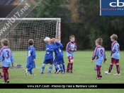 AFC Tickton