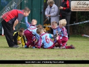 AFC Tickton