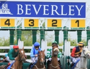 Wednesday Evening @ Beverley Racecourse