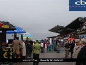 Ladies Day Your Pictures: Tim Galbraith