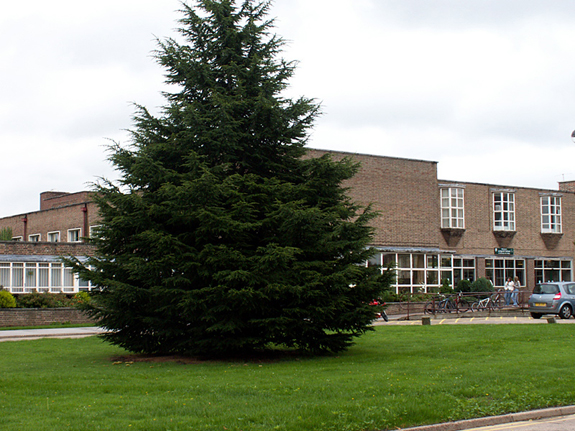 Loncroft School, A Performing Arts College