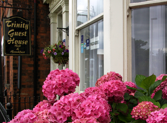 Trinity Guest House, Beverley