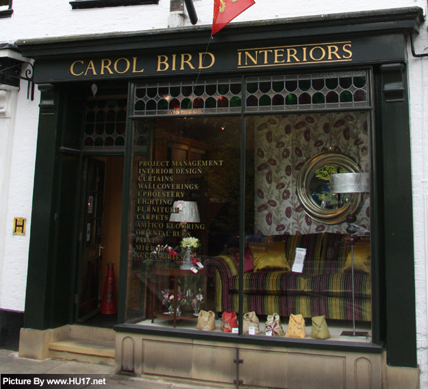 Carol Bird