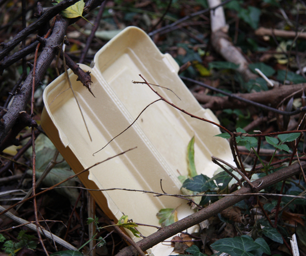 Beverley Big Clean Up Takeaway