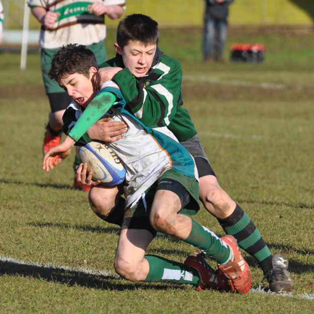 Beverley RUFC