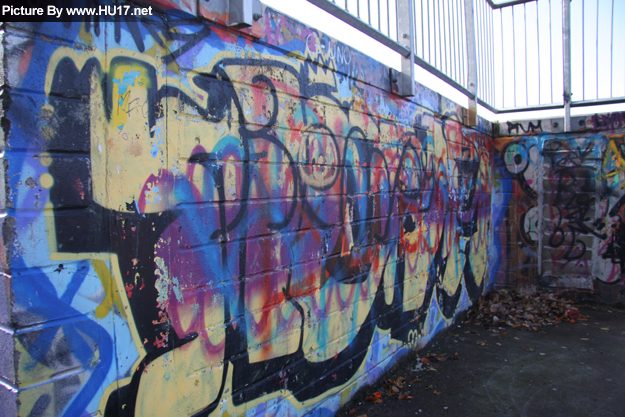 Beverley Skate Park