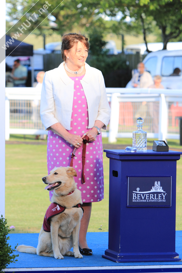 hearing dogs beverley races presentation