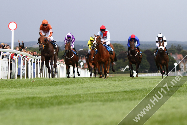 Family Day Beverley Racecourse