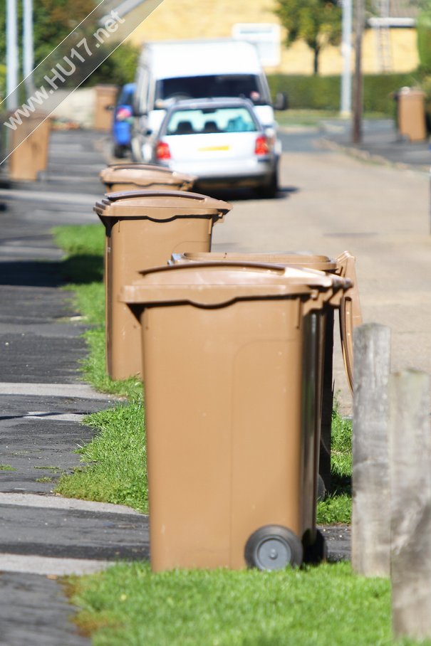 Brown Bins