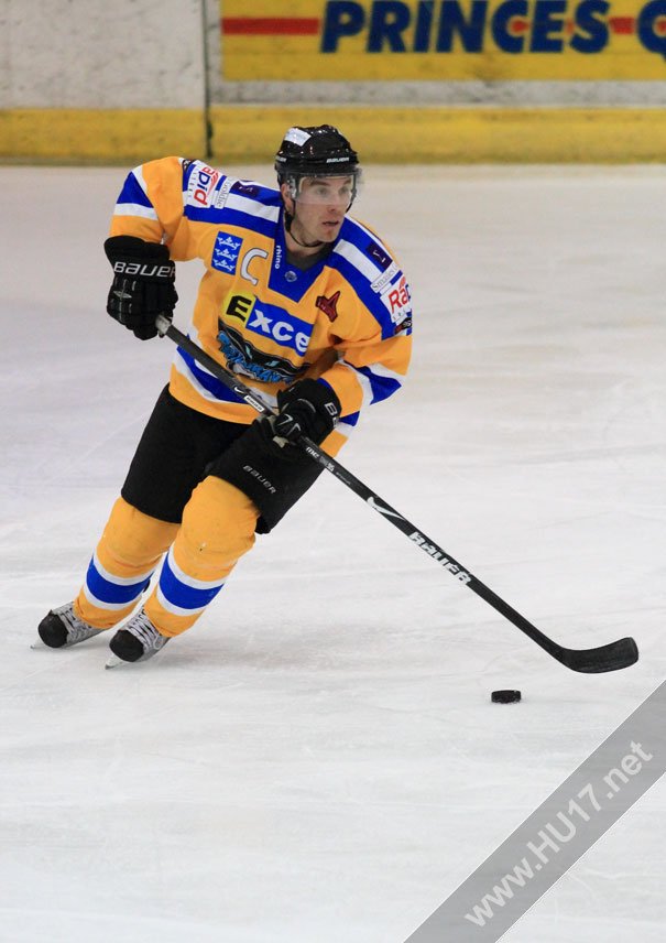 Hull Stingrays