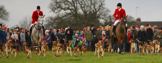 Boxing Day Hunt, Beverley Westwood