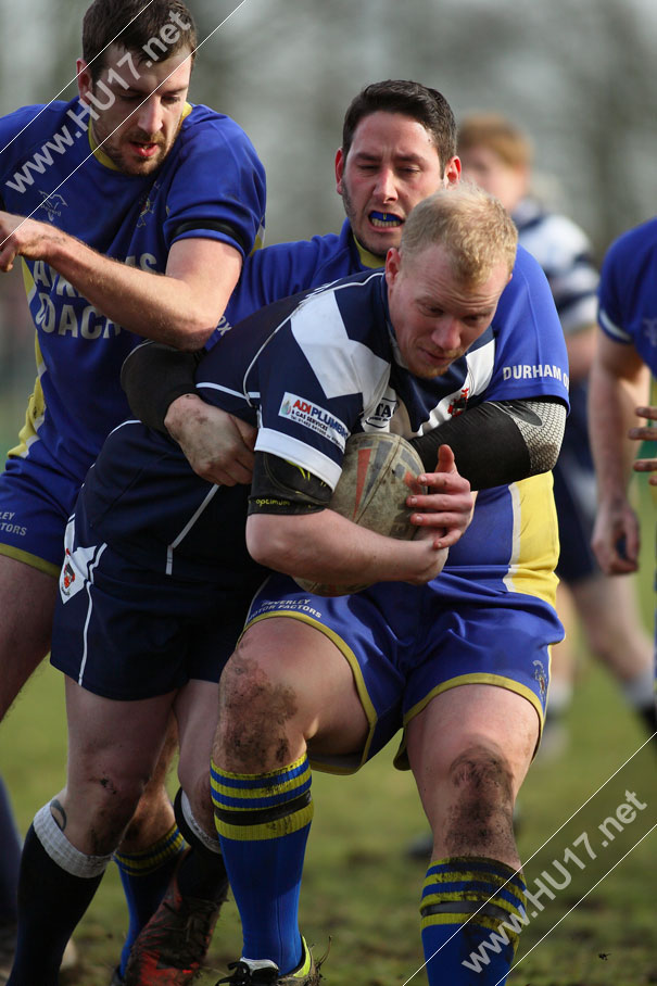 Blue & Golds Return To Action This Saturday