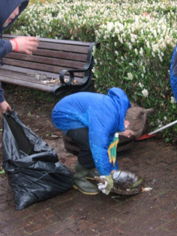 Beverley In Bloom Get Help From Local Scouts