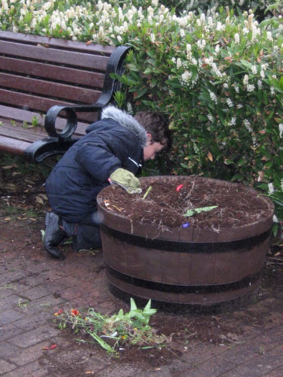 Beverley In Bloom Get Help From Local Scouts