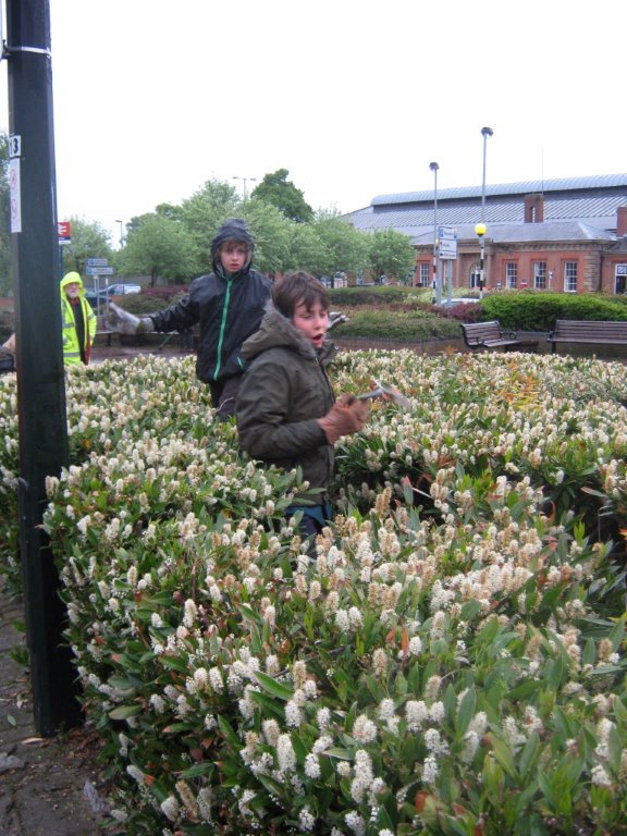 Beverley In Bloom Get Help From Local Scouts