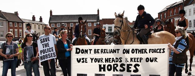 Horsing Around In Beverley : Protest Delivers Clear Message To Authorities