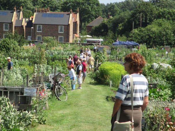 Growing Interest For Allotments Open Day