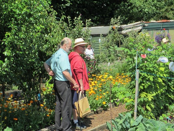 Growing Interest For Allotments Open Day