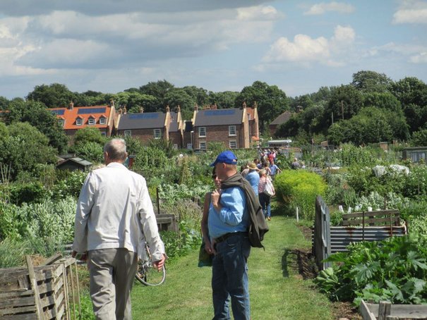 Growing Interest For Allotments Open Day