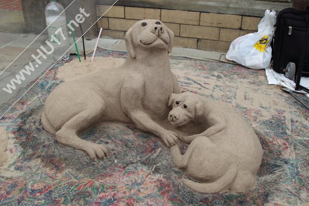 Sandtastic : Dogs Sculpted From Sand Get A Lot Of Attention From Shoppers