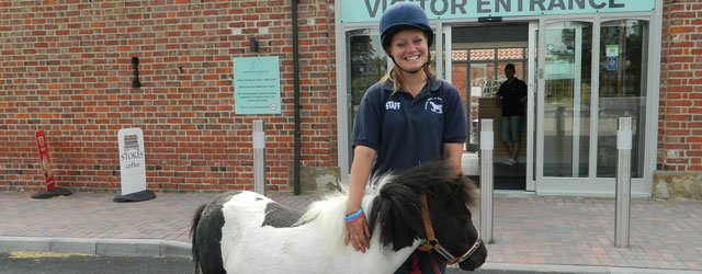 Bransby Horses Wins June Charity Of The Month