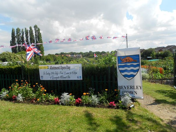 Allotments On Show For National Garden Scheme Open Day