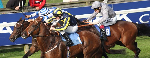 The 2013 Racing Season Comes To An End At Beverley