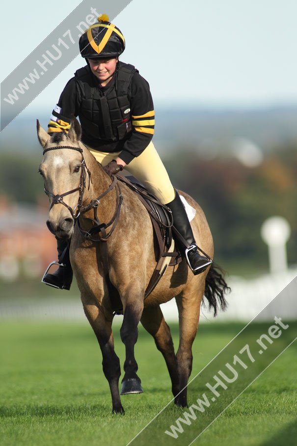 Pony Racing At Beverley Racecourse