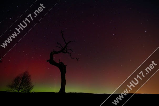 Northern Lights Visible From Beverley