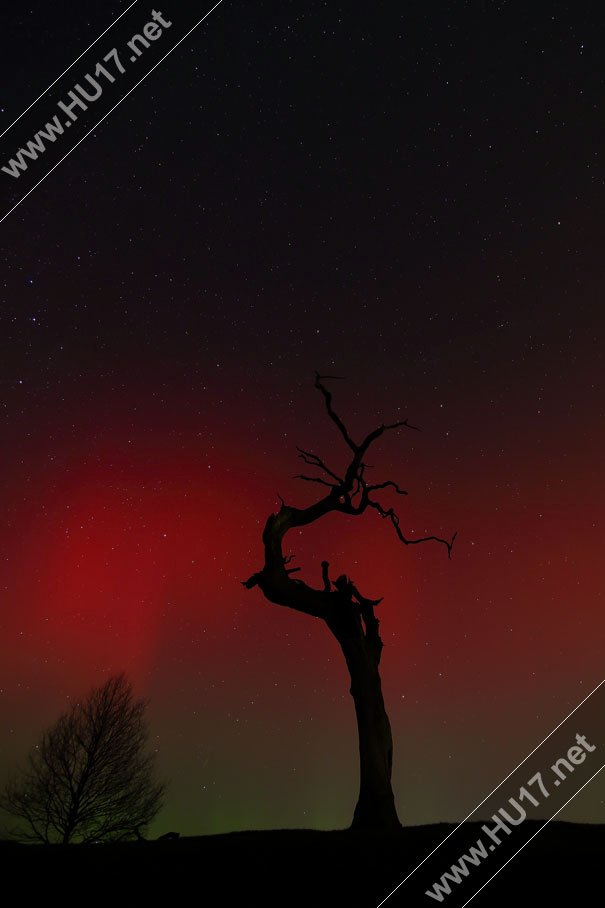 Northern Lights Visible From Beverley