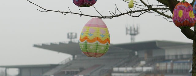 World’s First Ever Easter Egg Tree Discovered In Beverley