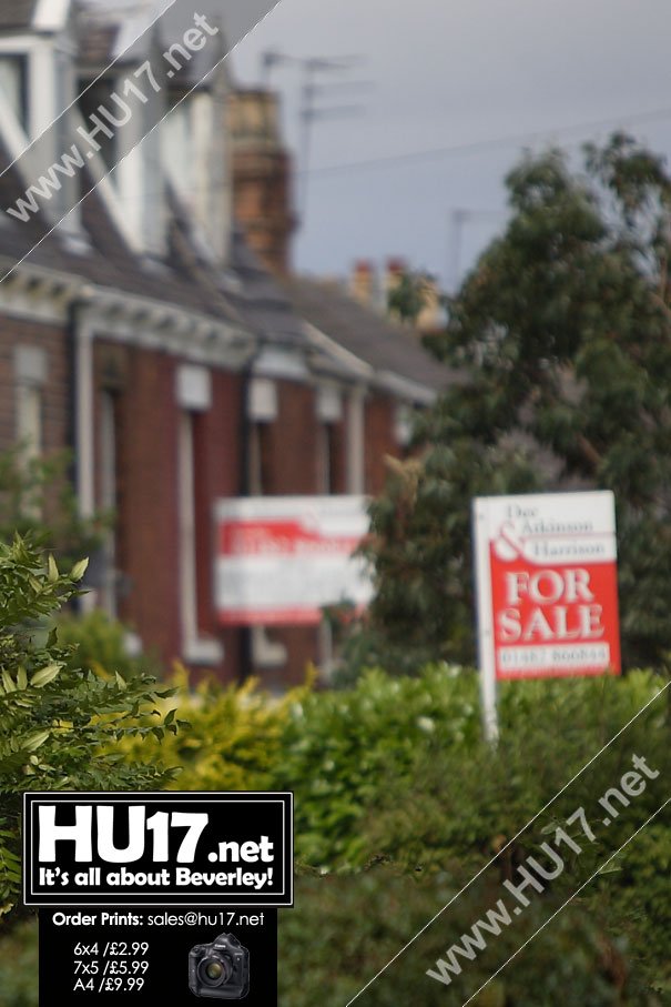 New Sale And Let Boards To Advertise Land - Property - Business Accommodation