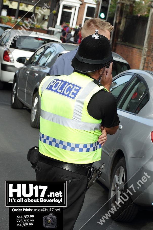 Virtually Crime-Free And Fun Beverley Races Ladies Day 