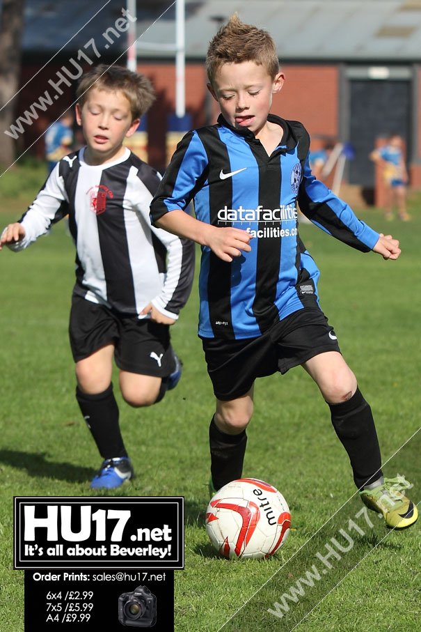 PHOTOS : Beverley Whitestar Panthers Vs Hessle Sporting Dragons