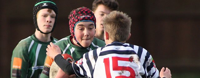 MATCH PHOTOS : Beverley RUFC U13s Vs Pocklington