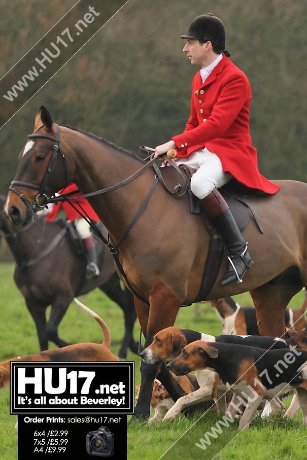 Hundreds Gather For Boxing Day Hunt On Beverley Westwood