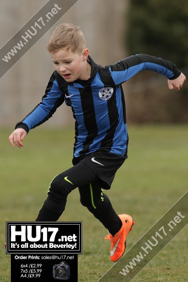 GALLERY : AFC Tickton Cobra's Vs Beverley Whitestar Tornadoes